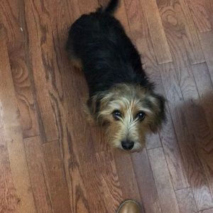 Meet your Posher, Kurt